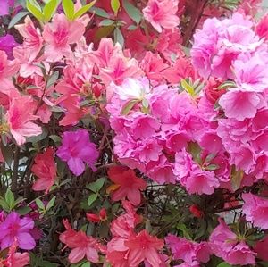 Meet your Posher, Amberly